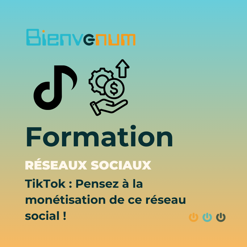 Formation TikTok Pensez à la monétisation de ce réseau social ! (1)